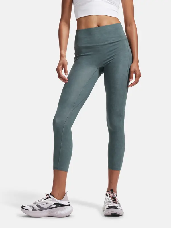 Under Armour Tajice s efektom Meridian antilopa Under Armour