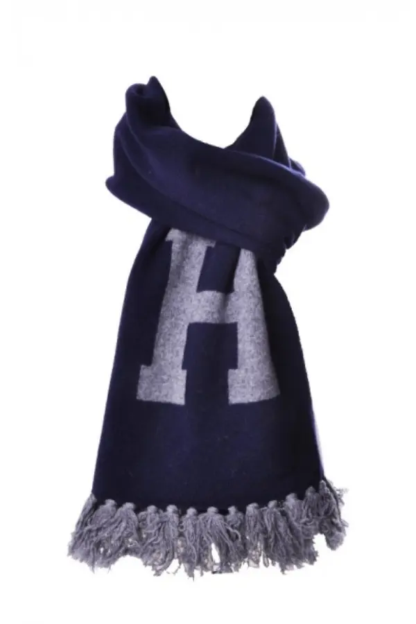 Tommy Hilfiger Tommy Hilfiger Scarf - ALDWIN blue-grey
