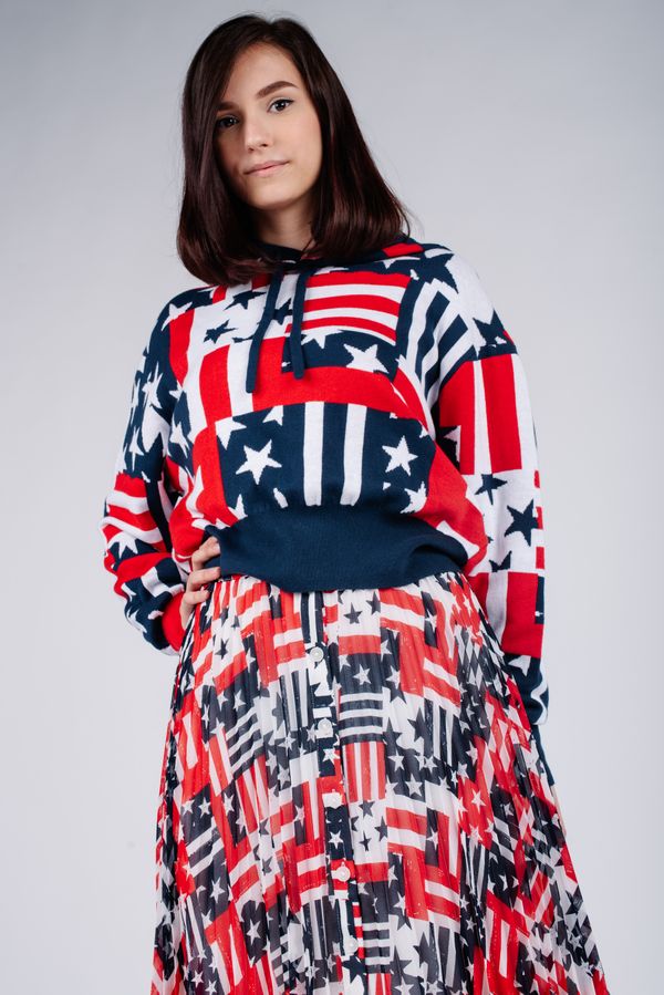 Tommy Hilfiger Tommy Jeans Skirt - TJW PLEATED BUTTON THRU SKIRT blue-white-red