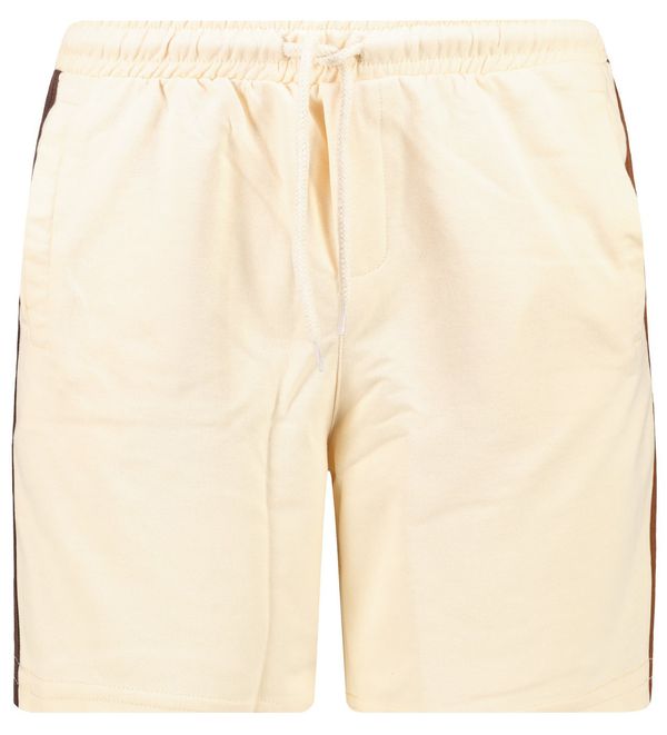 Trendyol Trendyol Beige Men's Regular Fit Shorts