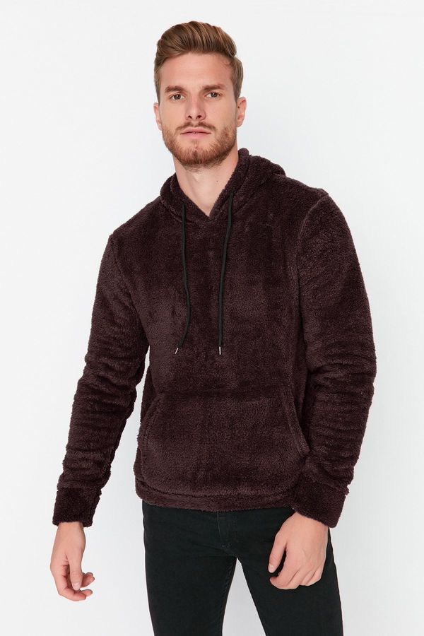 Trendyol Trendyol Brown Regular/Normal Cut Hooded Warm Plush Sweatshirt