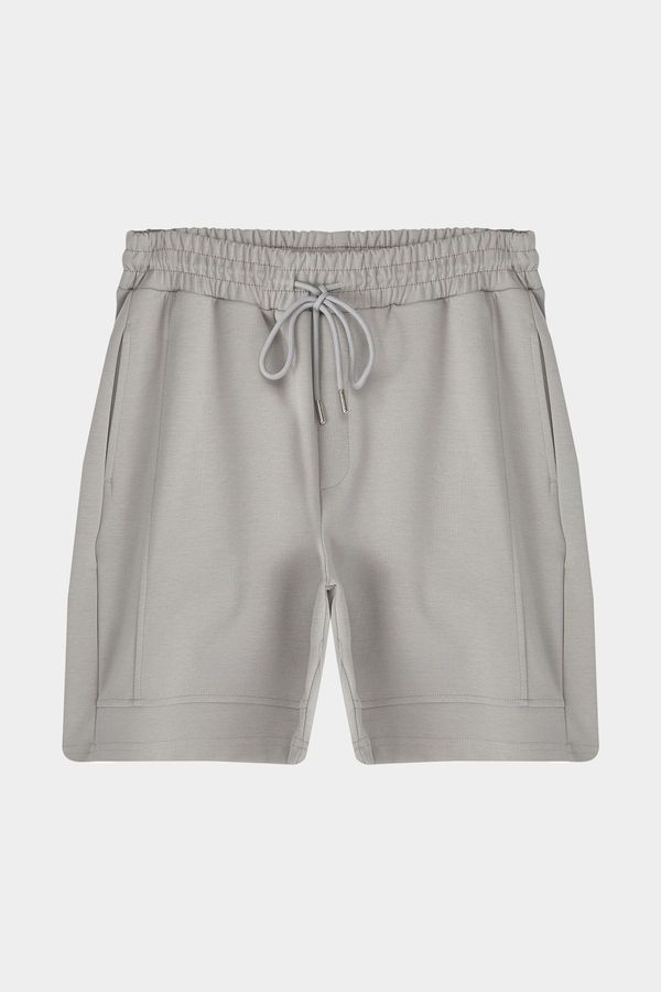 Trendyol Trendyol Grey Limited Edition Oversize/Wide Cut with Seam Detail Shorts & Bermudas
