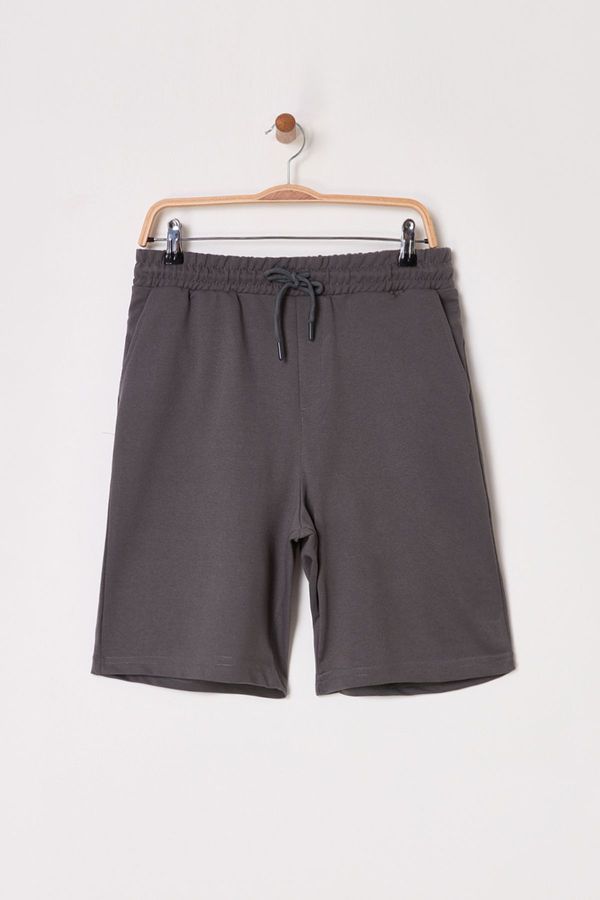 Trendyol Trendyol Smoke Brown Basic Regular Mid Length/Normal Cut Plain Shorts