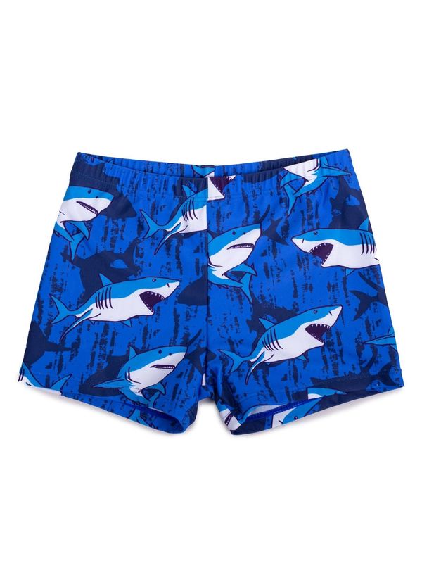 Yoclub Yoclub Kids's Boys' Swimming Shorts LKS-0059C-A100