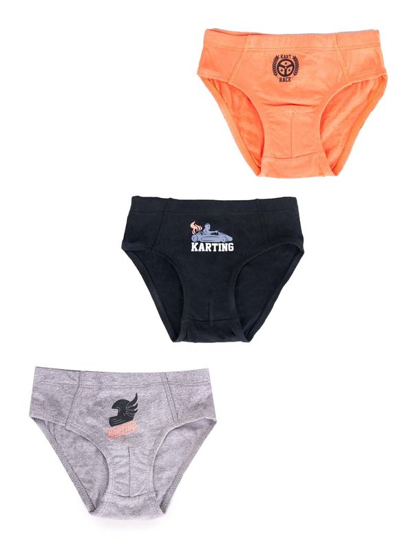 Yoclub Yoclub Kids's Cotton Boys' Briefs Underwear 3-pack BMC-0028C-AA30-002