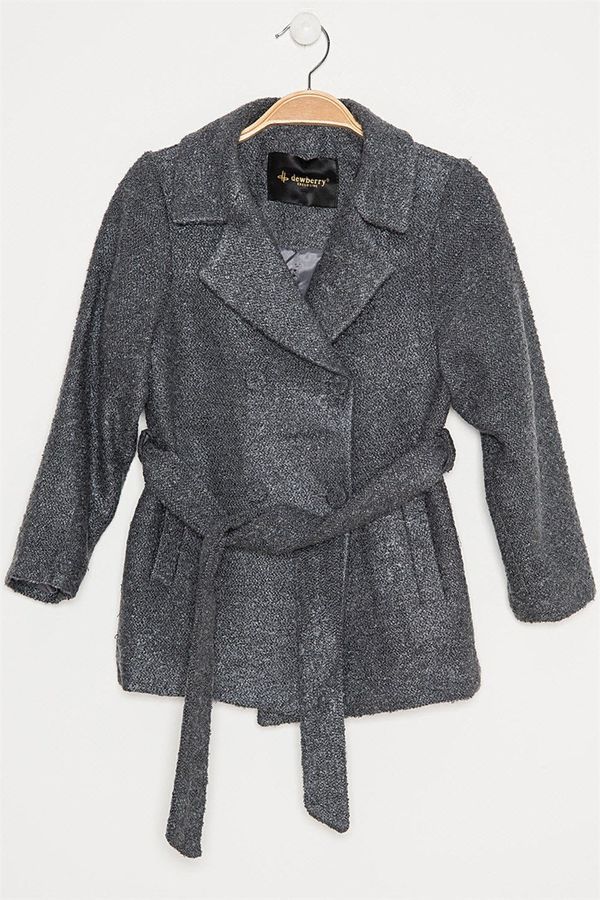 dewberry Z8000 DEWBERRY