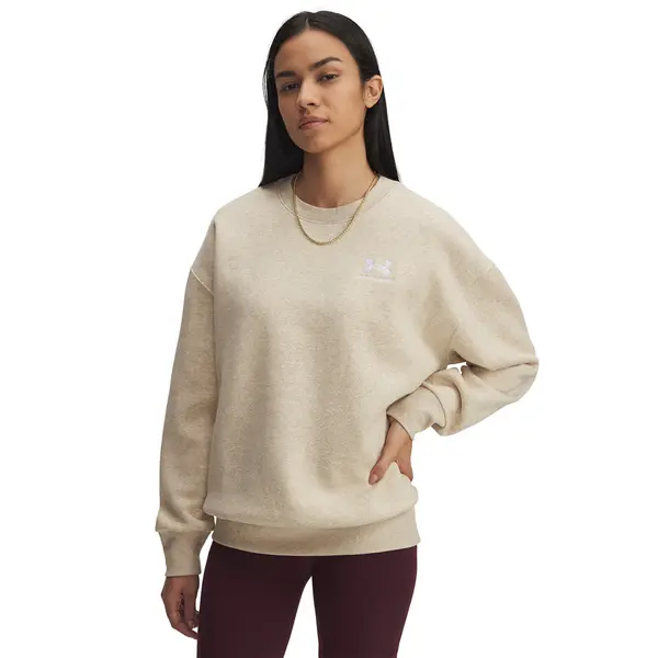 Under Armour Hoodica Under Armour Icon Fleece Os Crew Brown XS