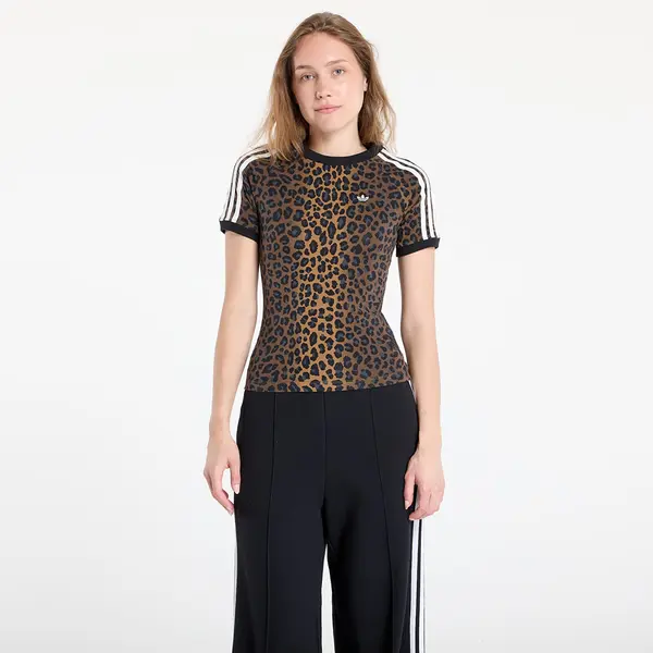 adidas Originals Majica adidas Cali Tee Multicolor M