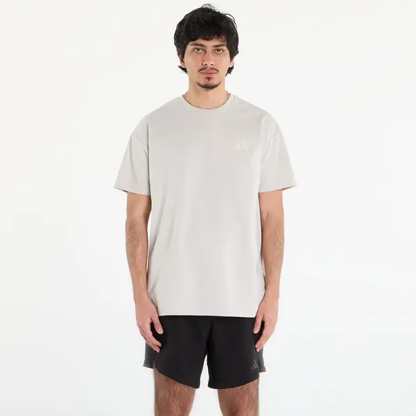 adidas Performance Majica adidas Terrex Xploric Climacool Graphic T-Shirt Wonder Alumina L