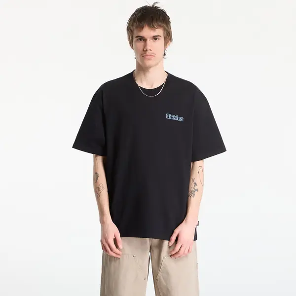 Dickies Majica Dickies Fairlawn Ss Tee Black S