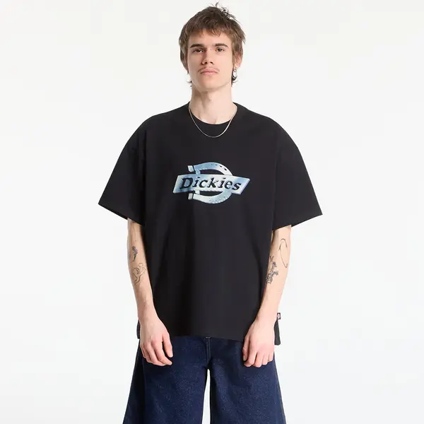 Dickies Majica Dickies Rarden Ss Tee Black S