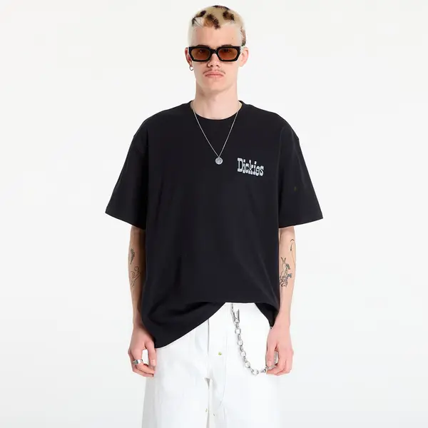 Dickies Majica Dickies Vernal Short Sleeve Tee Black S
