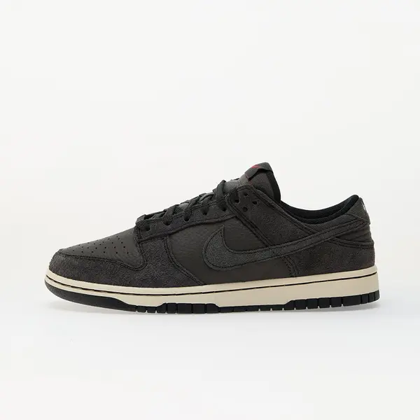 Nike Sneakers Nike Dunk Low Retro Prm Black/ Off Noir-Medium Ash-Coconut Milk EUR 39