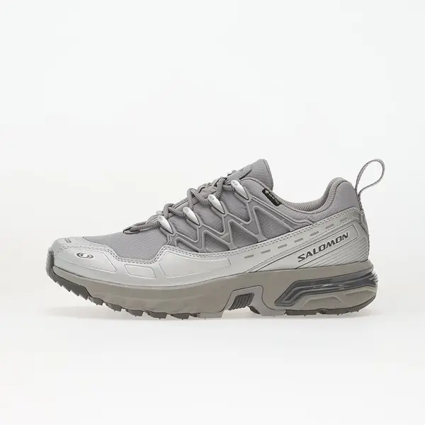 Salomon Sneakers Salomon ACS + GTX Alloy/ Clrock/ Ftw Silver EUR 45 1/3