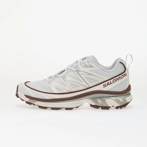 Salomon Sneakers Salomon XT-6 Expanse Anciew/ Bchoco/ Ftw Silv EUR 38 2/3