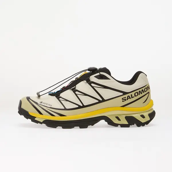 Salomon Sneakers Salomon XT-6 GTX Vanilla Ice/ Bog/ Shadow EUR 44 2/3