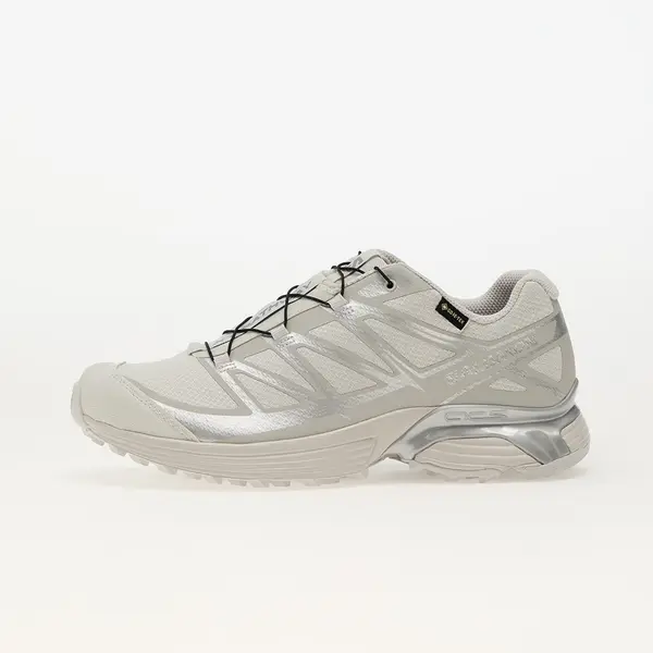 Salomon Sneakers Salomon XT-Pathway Gtx LunRoc/ Allo/ Ftw Silv EUR 43 1/3
