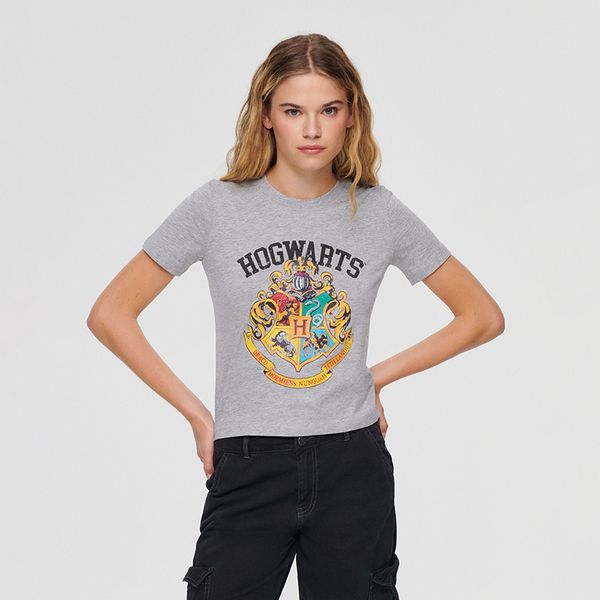 House House - Loose fit majica kratkih rukava Harry Potter - Svijetlo siva