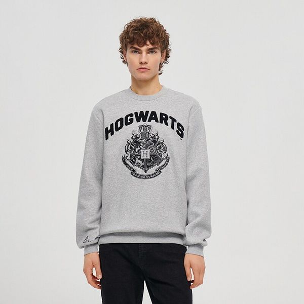 House House - Majica Harry Potter - Siva