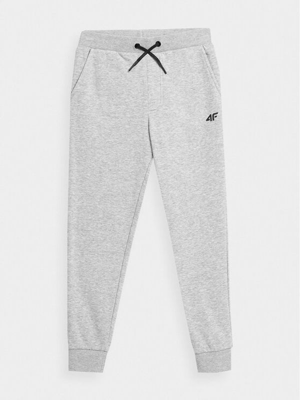 4F 4F Donji dio trenerke 4FJAW23TTROM411 Siva Regular Fit
