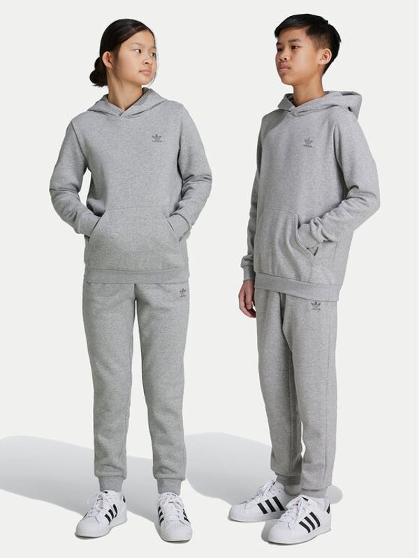 adidas adidas Donji dio trenerke IX5297 Siva Regular Fit