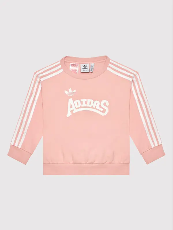 Adidas adidas Majica dugih rukava Graphic HC4559 Ružičasta Loose Fit