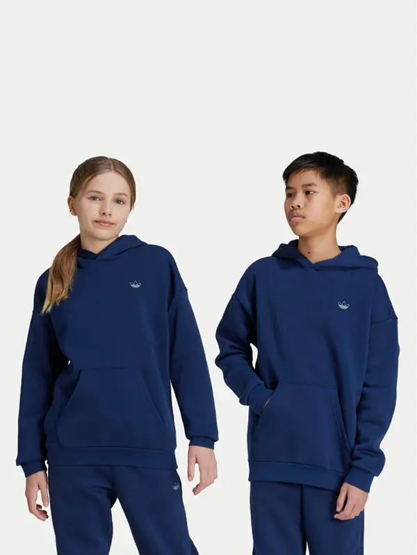 Adidas adidas Majica dugih rukava Graphic IX6843 Tamnoplava Relaxed Fit