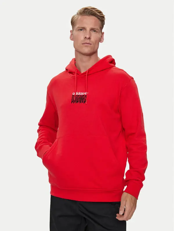 Adidas adidas Majica dugih rukava Graphic IZ4835 Crvena Loose Fit
