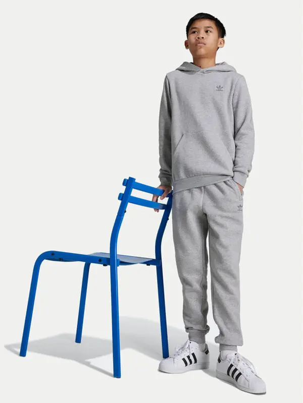 Adidas adidas Majica dugih rukava IX5285 Siva Regular Fit