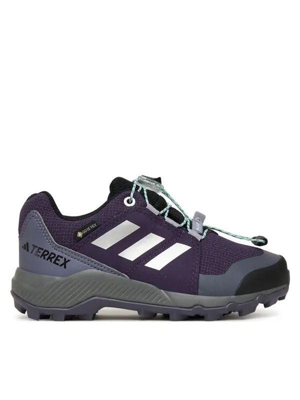 Adidas adidas Trekking Terrex GORE-TEX Hiking JS2930 Ljubičasta