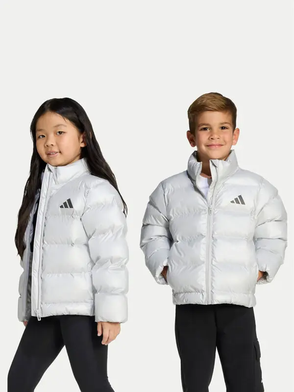 Adidas adidas Zimska jakna JW2474 Srebrna Regular Fit