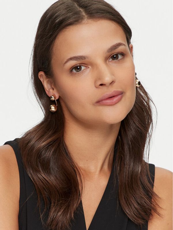 Aldo Aldo Naušnice Adissa 13862586 Zlatna