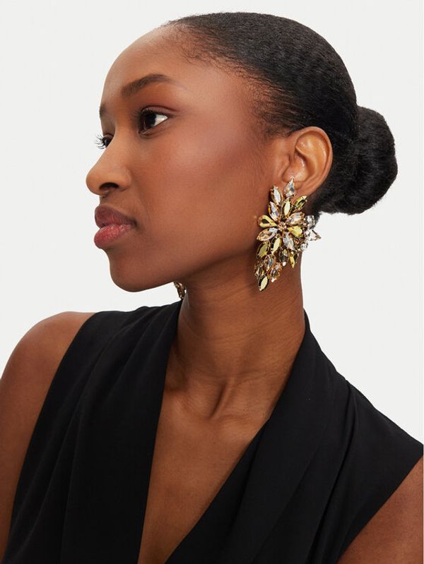 Aldo Aldo Naušnice Ammanzaa 13868613 Smeđa