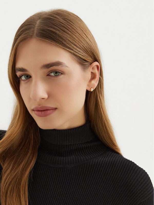 Aldo Aldo Set od 3 para naušnica Dellaa 13868633 Zlatna