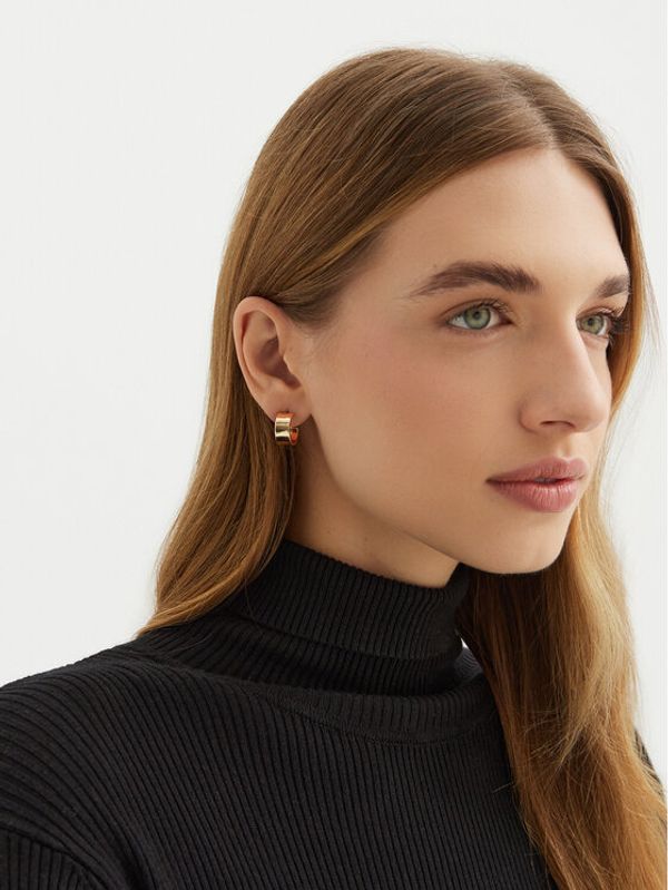 Aldo Aldo Set od 6 para naušnica Talalagyn 13868572 Zlatna