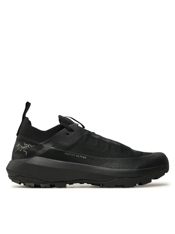 Arcteryx Arc'teryx Trekking Verte Alpine Gtx GORE-TEX X000009602 Crna