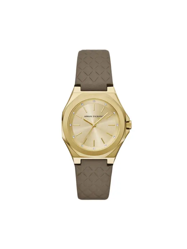 Armani Exchange Armani Exchange Sat AX4617 Smeđa