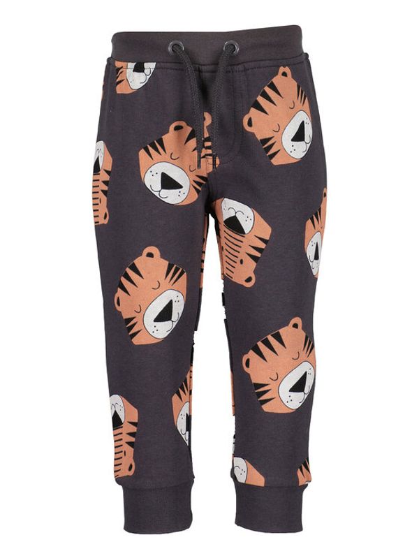 Blue Seven Blue Seven Donji dio trenerke 938067 X Siva Regular Fit