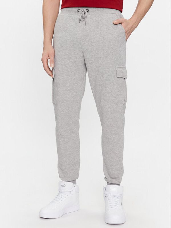 Brave Soul Brave Soul Donji dio trenerke MJB-581GAUZE Siva Regular Fit