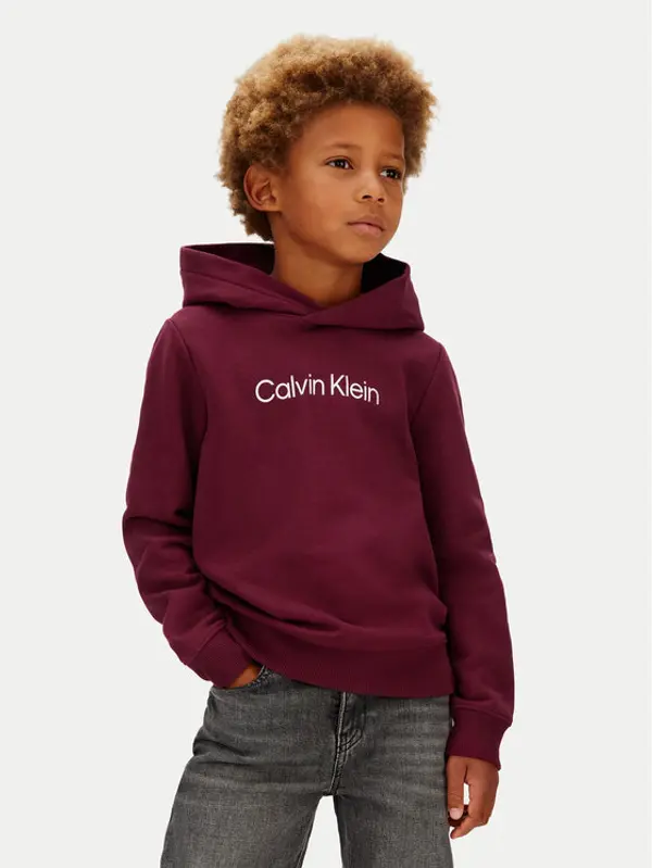 Calvin Klein Jeans Calvin Klein Jeans Majica dugih rukava IU0IU00679 Ljubičasta Regular Fit