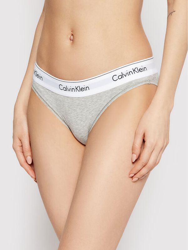 Calvin Klein Underwear Calvin Klein Underwear Klašične gaćice 0000F3787E Siva