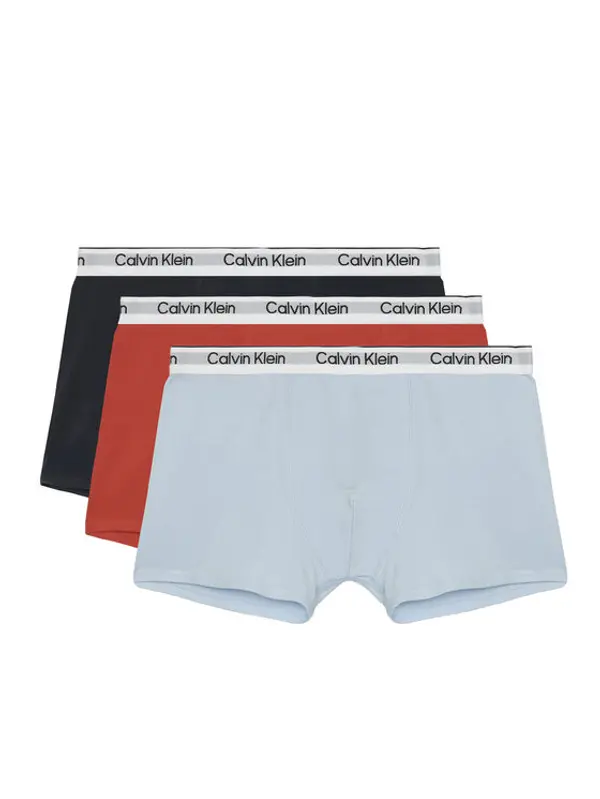 Calvin Klein Underwear Calvin Klein Underwear Set bokserica﻿ B70B700507 Šarena