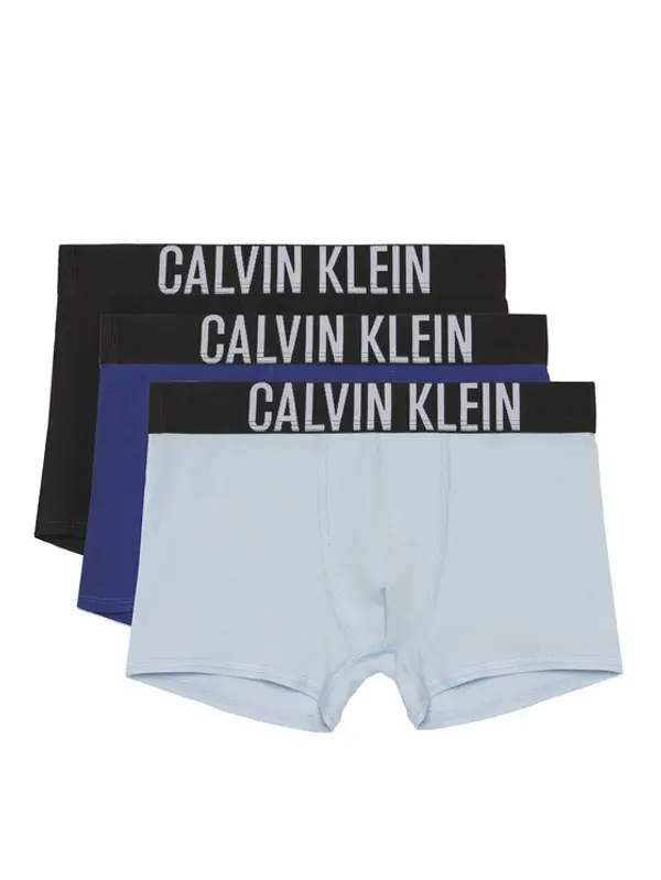 Calvin Klein Underwear Calvin Klein Underwear Set bokserica﻿ B70B700510 Šarena