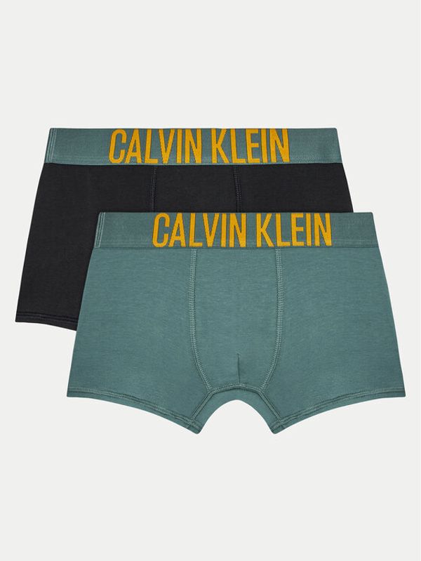 Calvin Klein Underwear Calvin Klein Underwear Set od 2 para bokserica B70B700488 Šarena