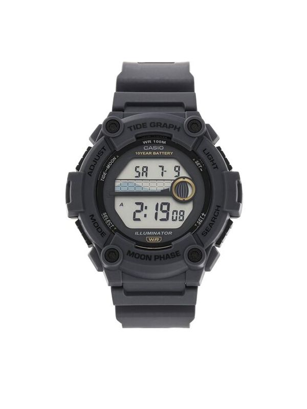 Casio Casio Sat WS-1300H-8AVEF Siva