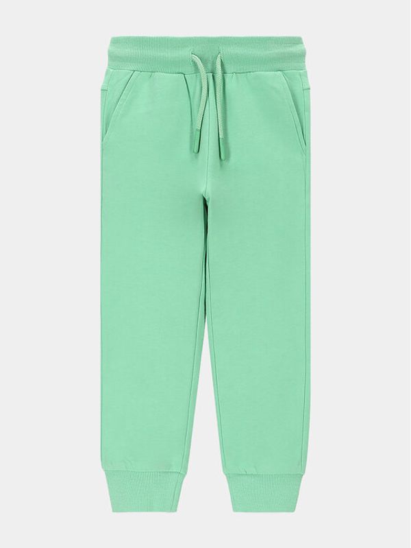 Coccodrillo Coccodrillo Donji dio trenerke WC4120102VGA Zelena Regular Fit