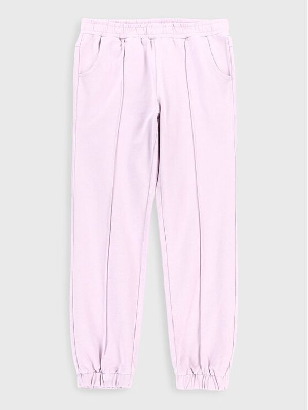 Coccodrillo Coccodrillo Donji dio trenerke ZC2120101ROJ Ljubičasta Regular Fit