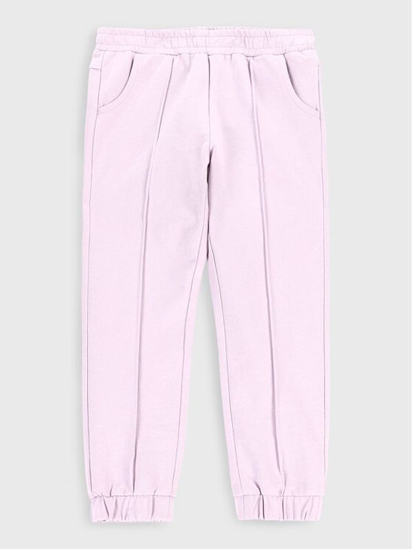 Coccodrillo Coccodrillo Donji dio trenerke ZC2120101ROK Ljubičasta Regular Fit