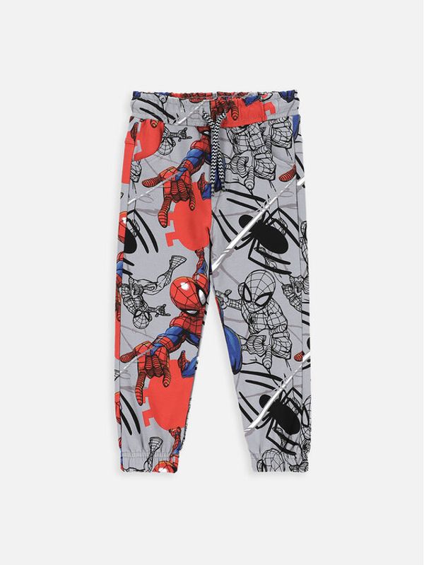 Coccodrillo Coccodrillo Donji dio trenerke ZC3120104GBK Šarena Slim Fit