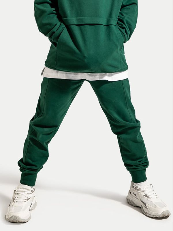 Coccodrillo Coccodrillo Donji dio trenerke ZC4120104VBA Zelena Slim Fit